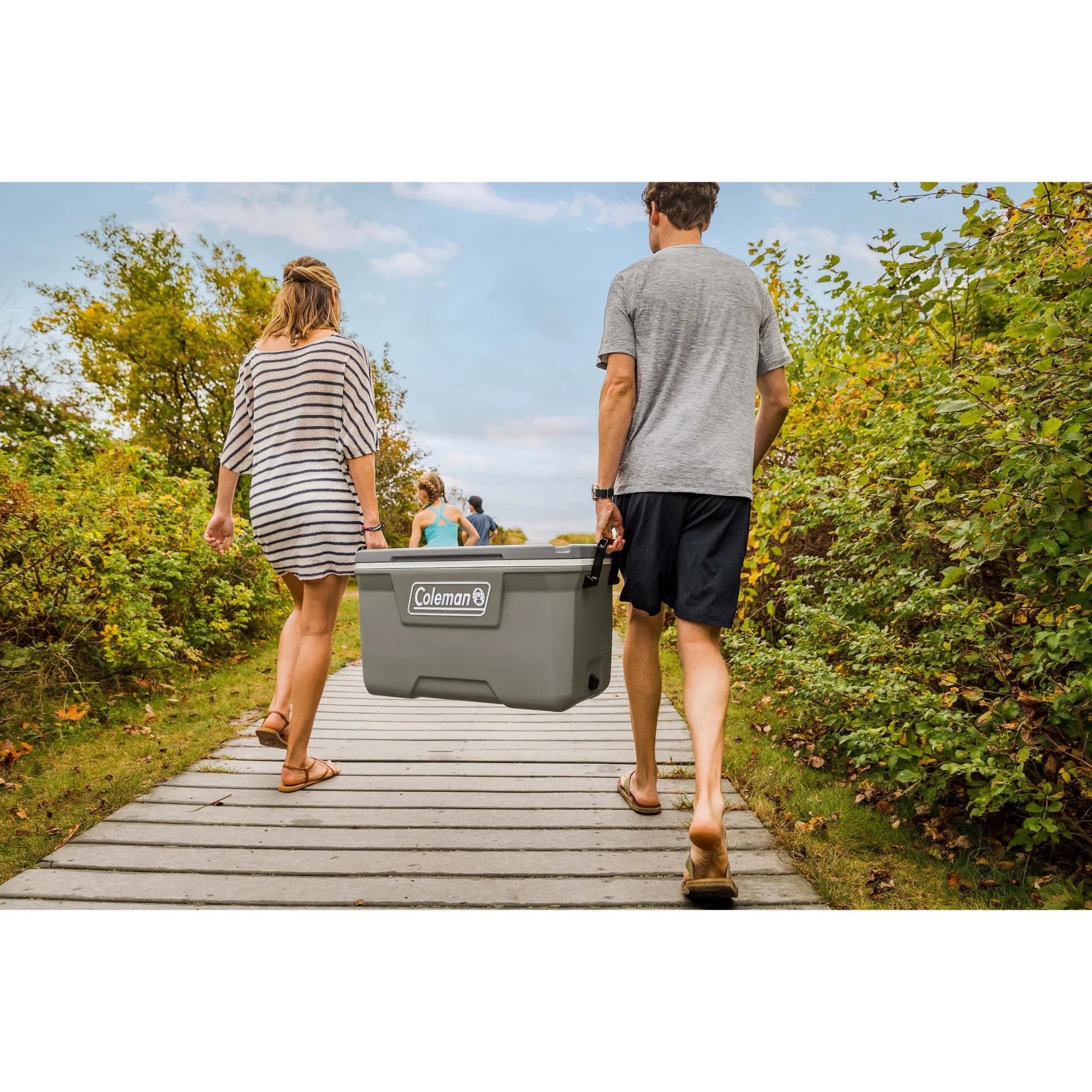 316 Series 70QT Hard Chest Cooler, Silver Ash